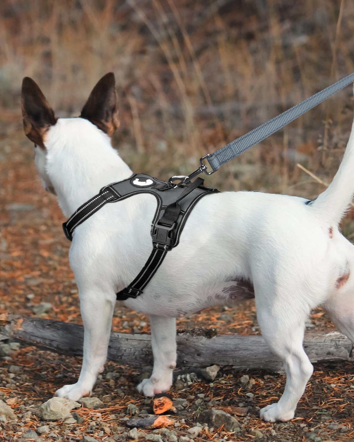 Joytale Double-Sided Reflective Dog Leash, 6 FT/5 FT/4 FT, Padded Handle Nylon Heavy Duty Leashes for Medium & Large Dogs Walking, Gray, 5FT