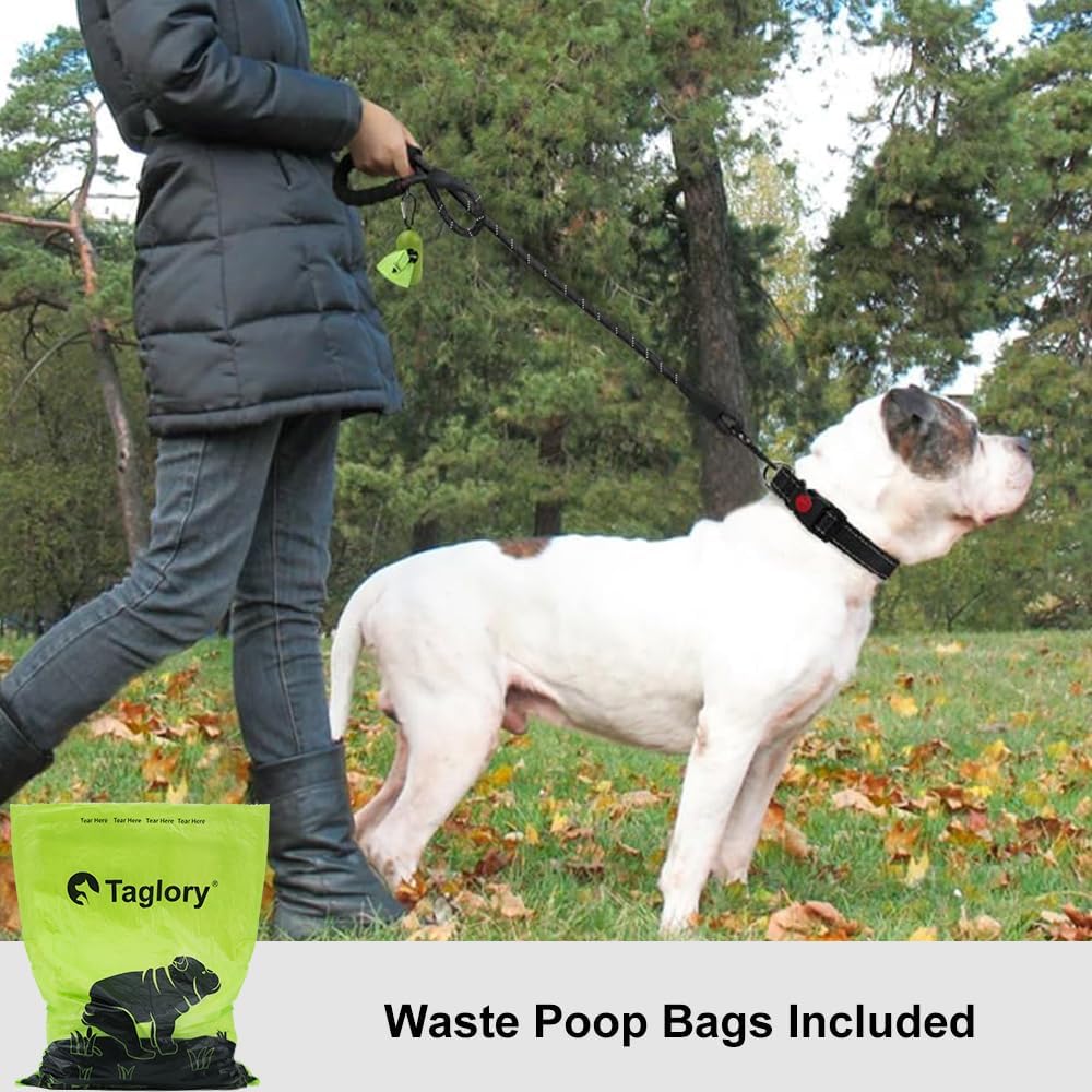 Taglory Rope Dog Leash 6 FT with Comfortable Padded Handle, Highly Reflective Threads Leash for Medium Large Dogs, 1/2 inch, Black