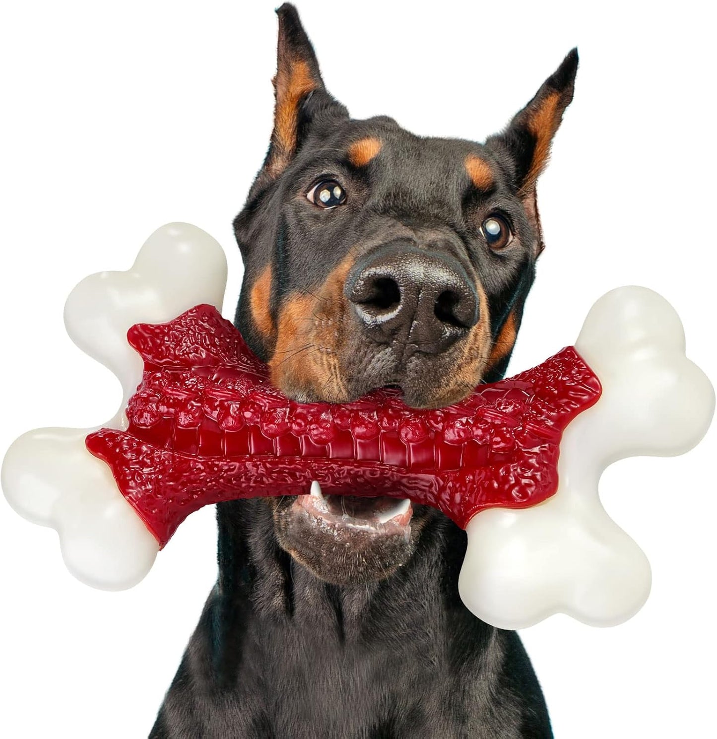 Tough Dog Toys, Toys for Aggressive Chewers Large Breed, Chew Dogs, Bone Toy Nylon Dogs Almost Indestructible