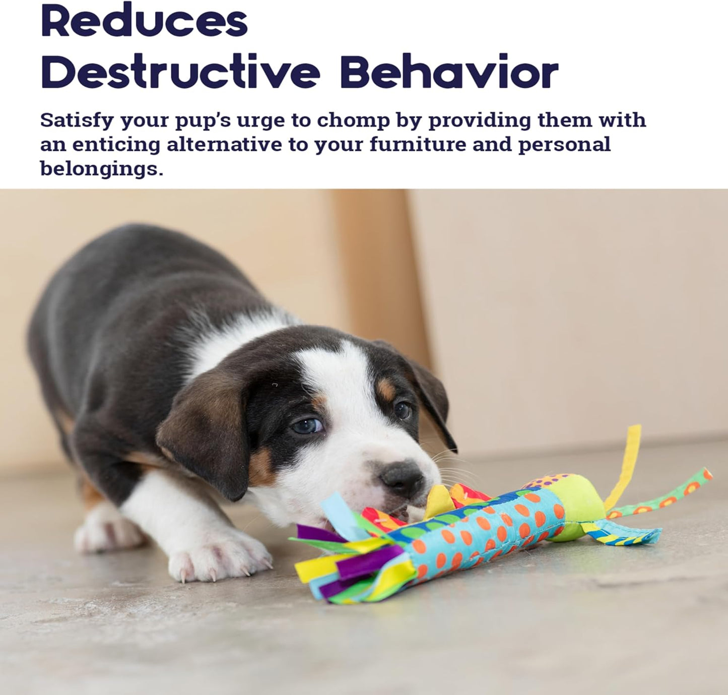 Petstages Cool Teething Stick for Dogs - Soothing Chew Toy for Teething Puppies - Freezable for Added Relief - Durable & Safe Dental Aid, Multicolor, One-Size