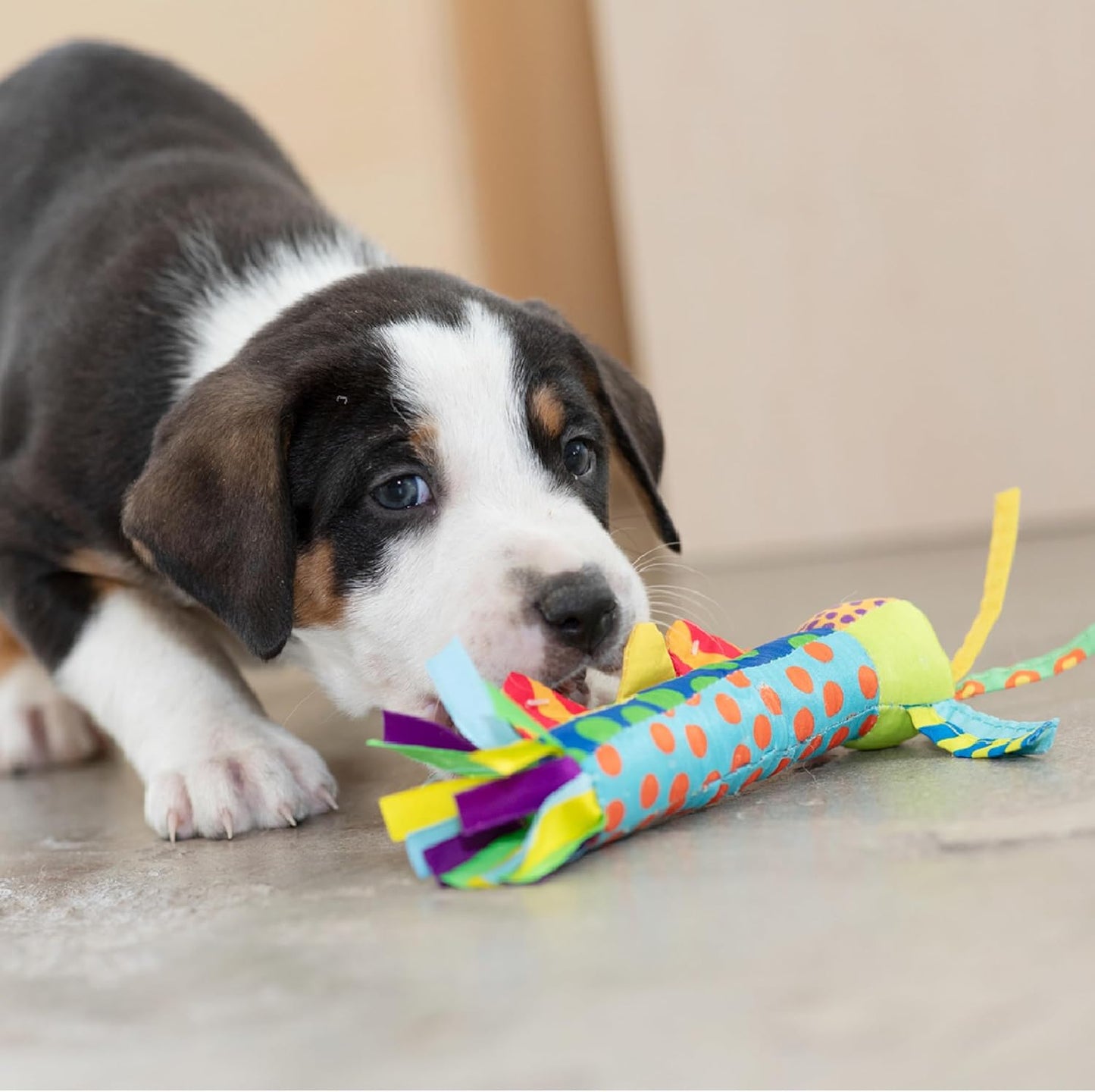 Petstages Cool Teething Stick for Dogs - Soothing Chew Toy for Teething Puppies - Freezable for Added Relief - Durable & Safe Dental Aid, Multicolor, One-Size